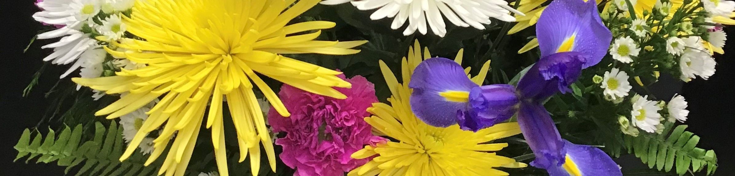  banner for Default Store View